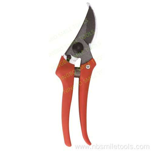 Mexico Popular Garden Tools Pruning Shears Scissors Straight Fruit Tree Pruner